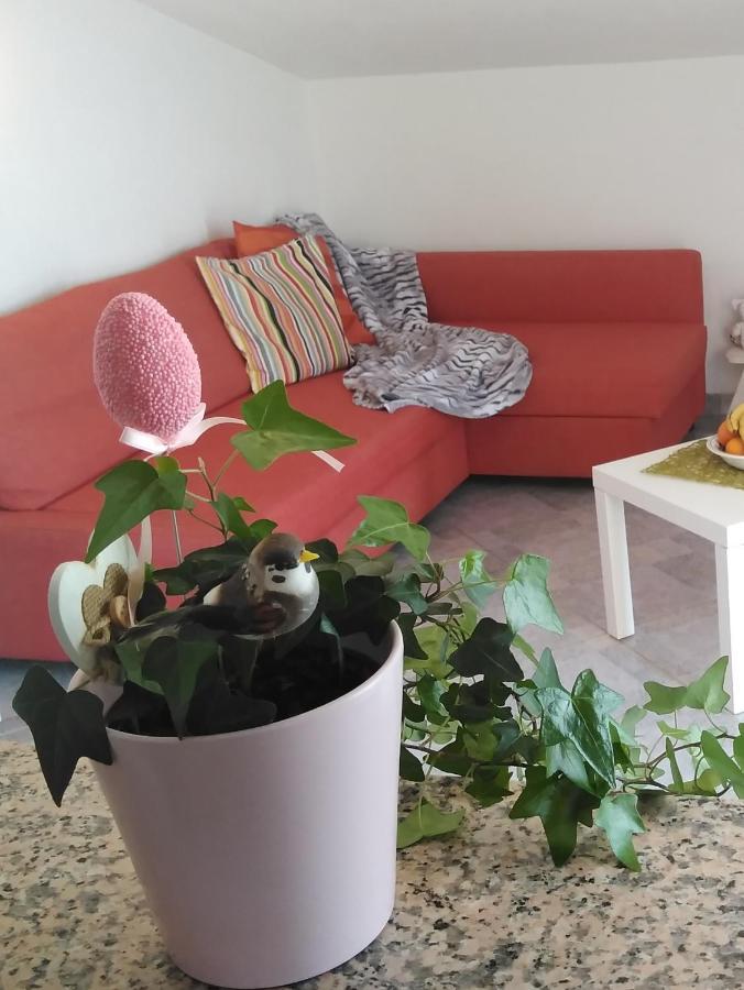 Apartments Nina Ravni Habitación foto